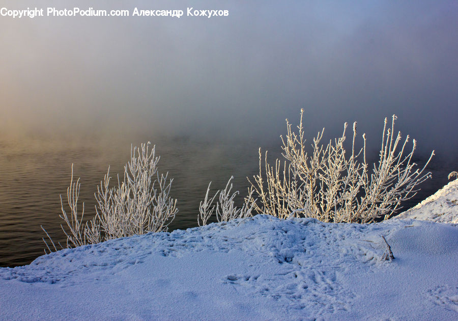 Frost, Ice, Outdoors, Snow, Field, Grass, Grassland