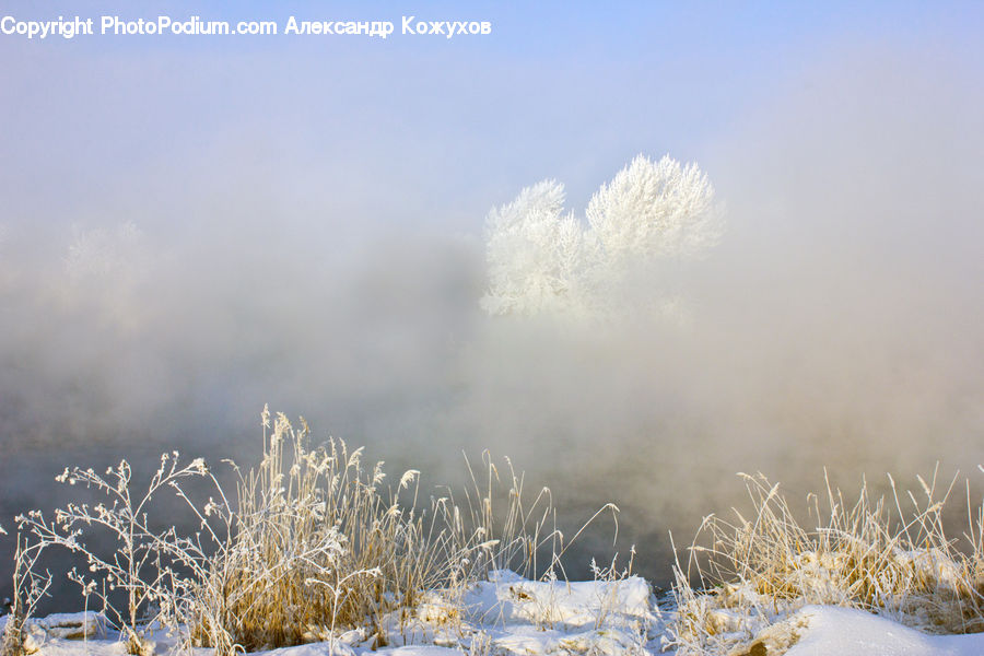 Frost, Ice, Outdoors, Snow, Field, Grass, Grassland