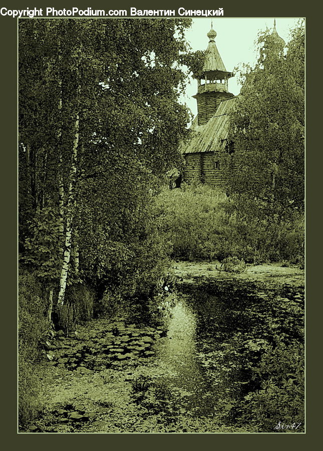Building, Cottage, Housing, Ivy, Plant, Vine, Architecture