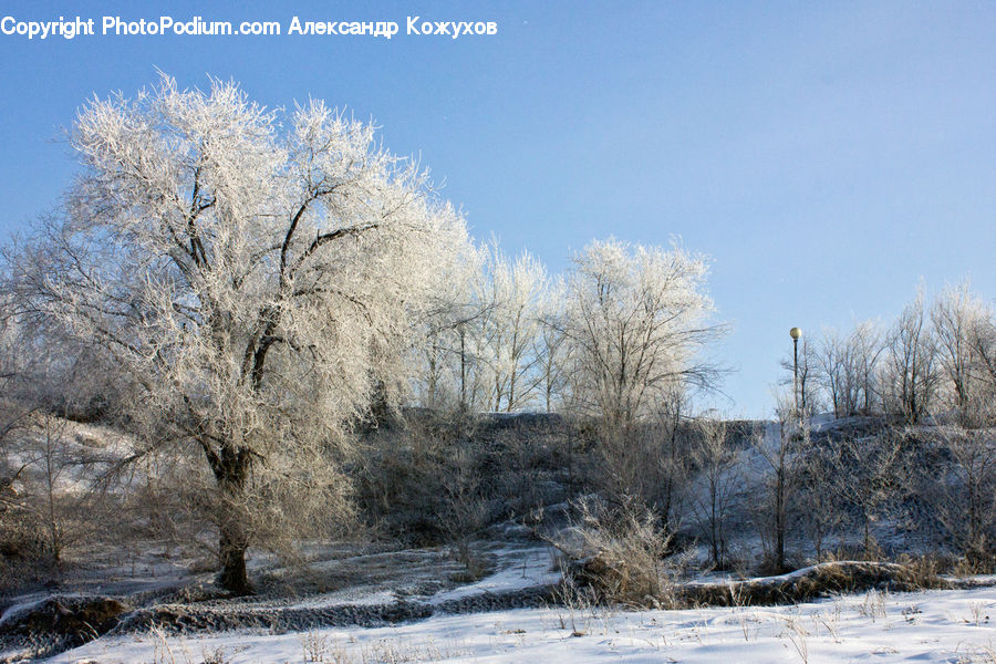 Frost, Ice, Outdoors, Snow, Landscape, Nature, Scenery