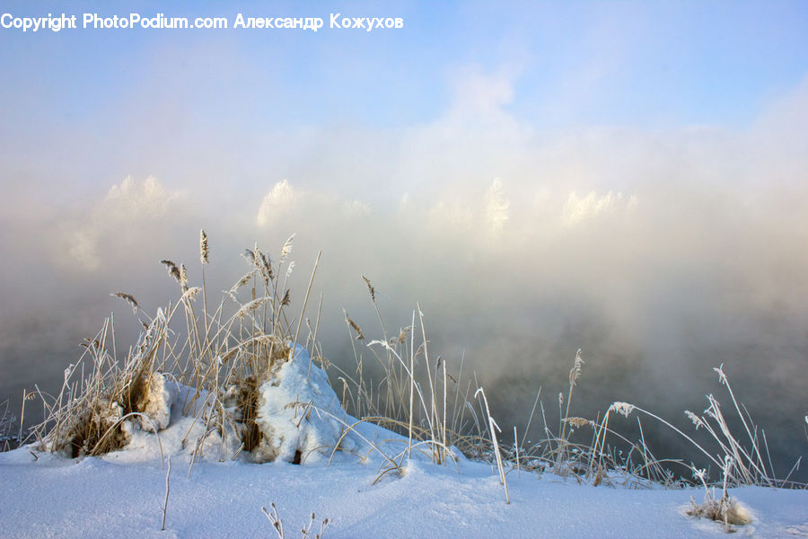 Frost, Ice, Outdoors, Snow, Field, Grass, Grassland