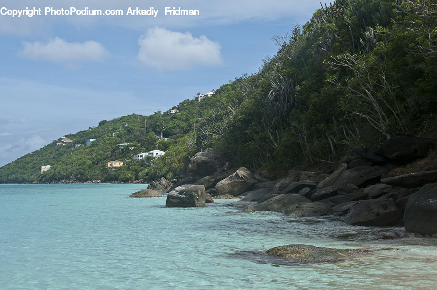 Forest, Jungle, Promontory, Rainforest, Vegetation, Beach, Coast