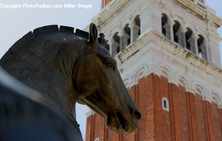 Art, Gargoyle, Statue, Architecture, Bell Tower, Clock Tower, Tower