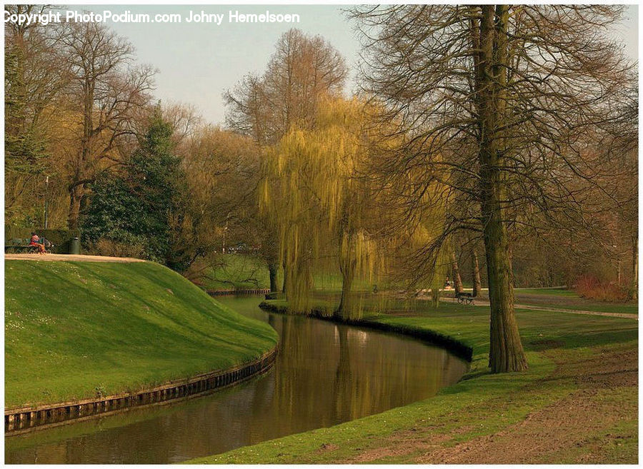 Grassland, Mound, Canal, Outdoors, River, Water, Conifer