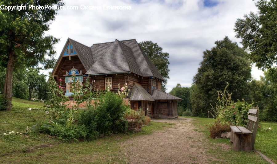 Building, Cottage, Housing, Conifer, Plant, Tree, Wood