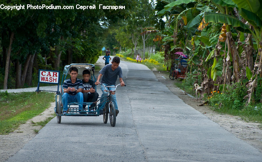 People, Person, Human, Bicycle, Bike, Cyclist, Bench