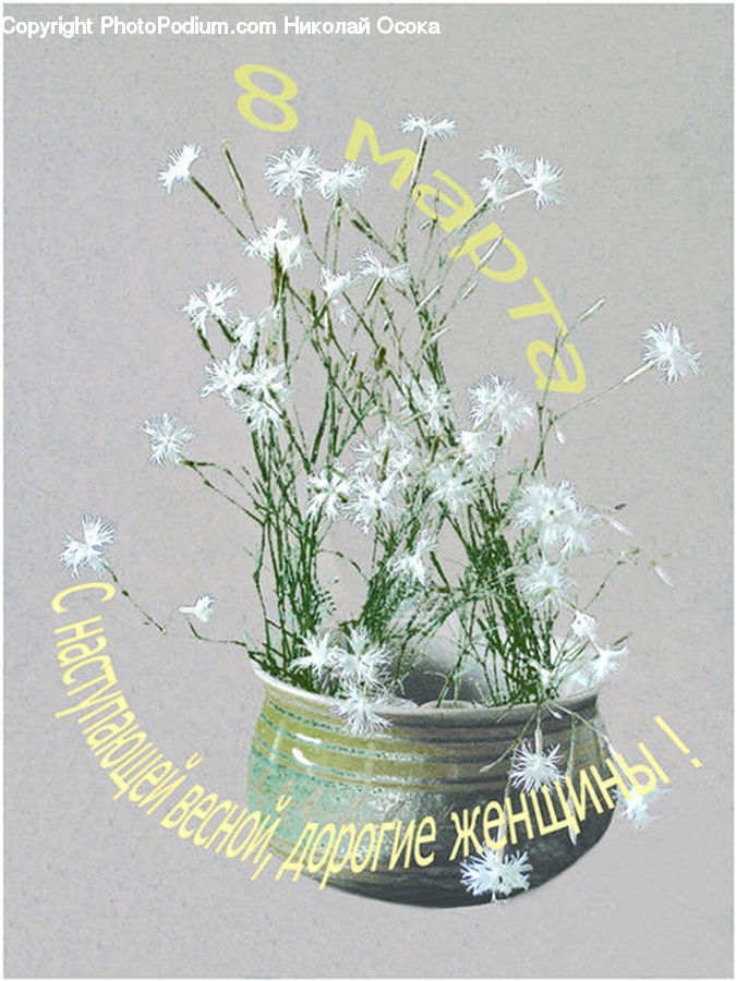 Plant, Potted Plant, Floral Design, Flower, Flower Arrangement, Flower Bouquet, Ikebana