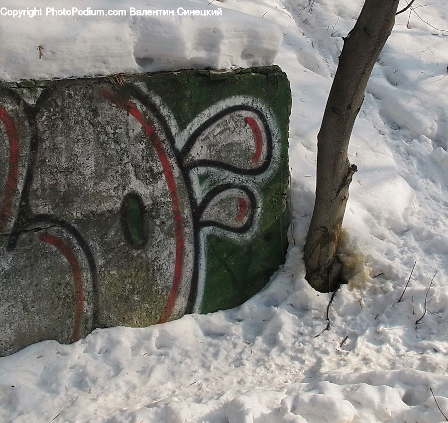 Ice, Outdoors, Snow, Plant, Tree