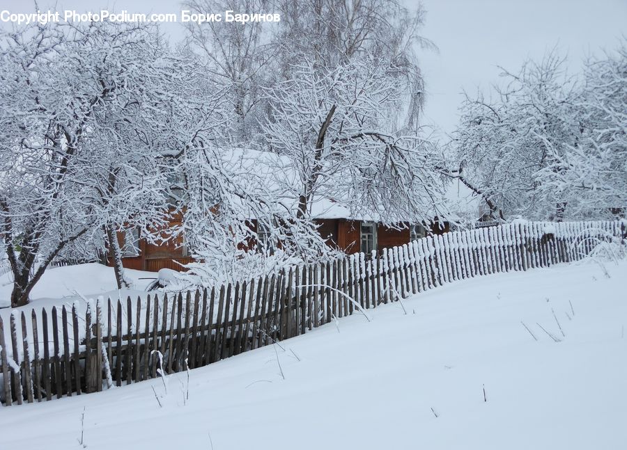 Ice, Outdoors, Snow, Fence, Blizzard, Weather, Winter