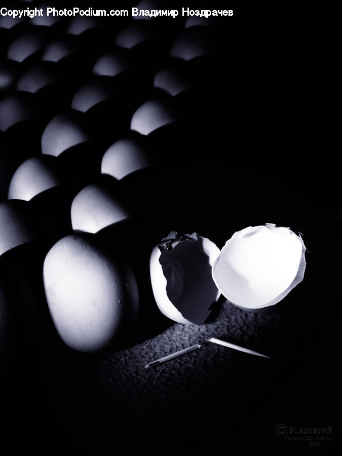 Electronics, Mouse, Light, Porcelain, Saucer, Blossom, Flora