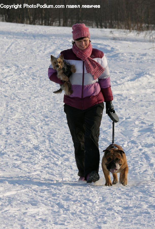 Human, People, Person, Animal, Canine, Dog, Mammal