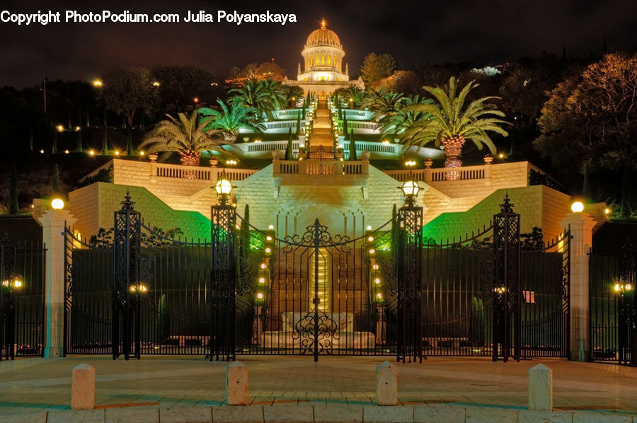 Plant, Potted Plant, Architecture, Dome, Mosque, Worship, Night