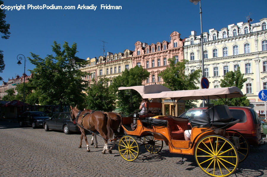Carriage, Horse Cart, Vehicle, Animal, Horse, Mammal, Umbrella