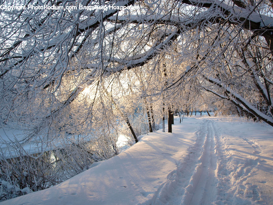 Frost, Ice, Outdoors, Snow, Landscape, Nature, Scenery