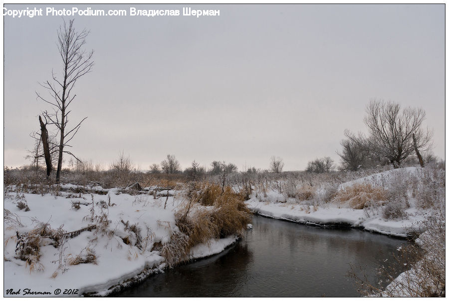 Ice, Outdoors, Snow, Ditch, Land, Marsh, Swamp