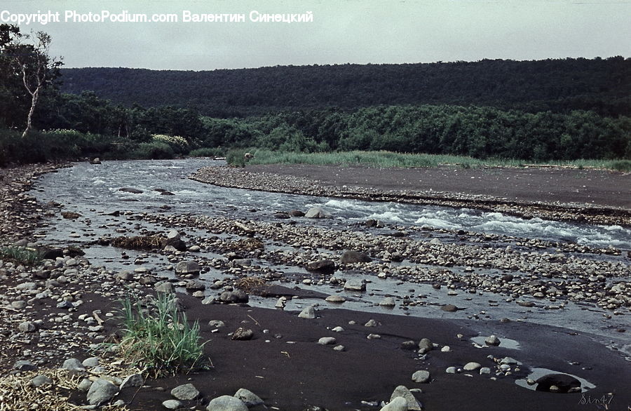 Asphalt, Tarmac, Outdoors, River, Water, Soil, Sand