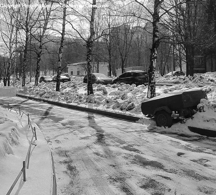 Ice, Outdoors, Snow, Rubble, Fir, Forest, Grove