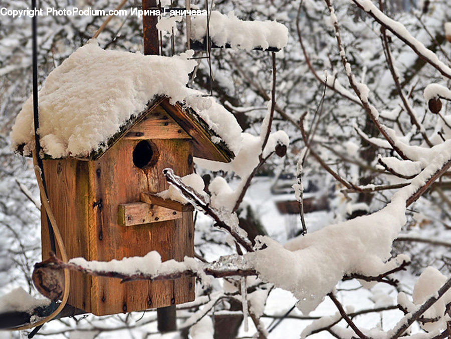 Bird Feeder, Ice, Outdoors, Snow