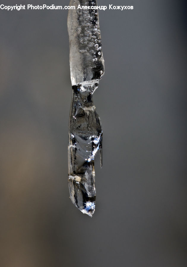 Ice, Outdoors, Snow, Water, Birch, Tree, Wood