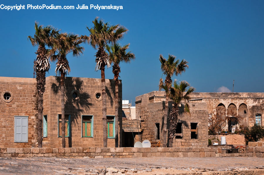 Palm Tree, Plant, Tree, Castle, Fort, Ruins, Ancient Egypt