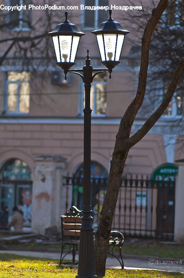 Lamp Post, Pole, People, Person, Human, Bench, Plant