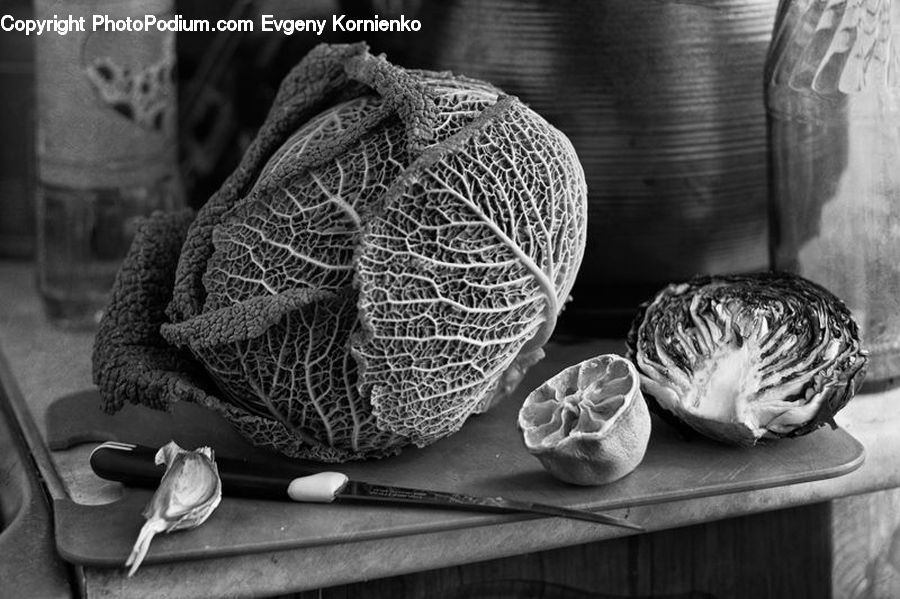 Cabbage, Produce, Vegetable, Art, Sculpture, Statue, Water