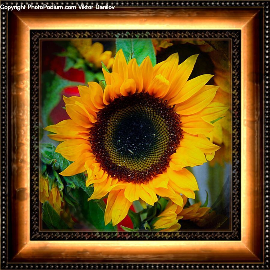 Art, Painting, Blossom, Flora, Flower, Plant, Sunflower