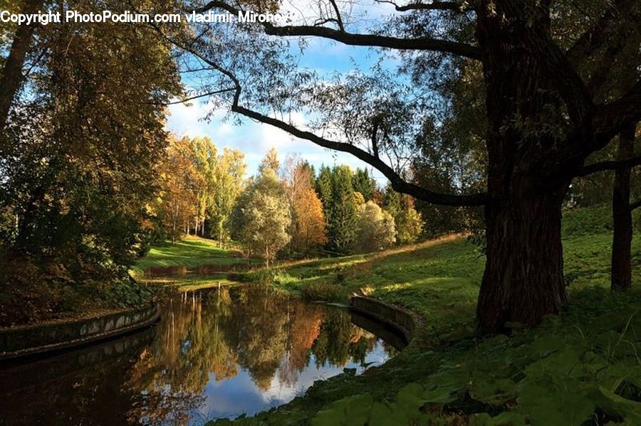 Canal, Outdoors, River, Water, Blossom, Flora, Flower