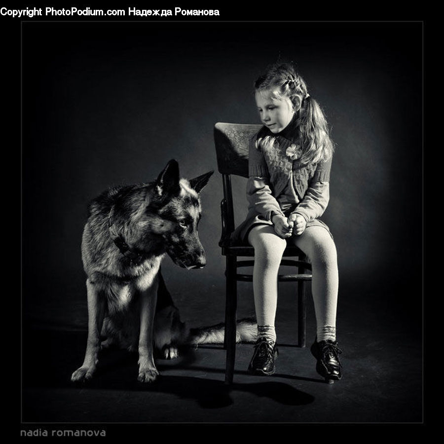 Human, People, Person, Chair, Furniture, Animal, Female