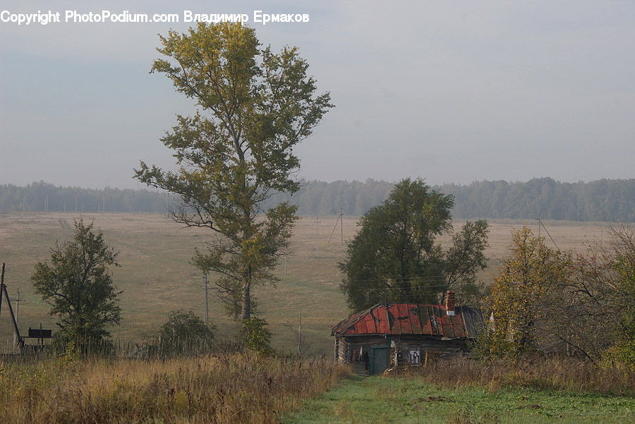 Cabin, Hut, Rural, Shack, Shelter, Building, Cottage