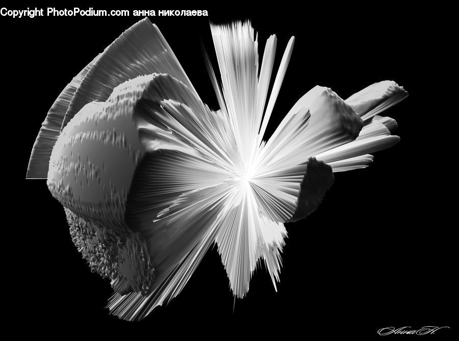 Blossom, Flora, Flower, Plant, Petal, Art, Origami