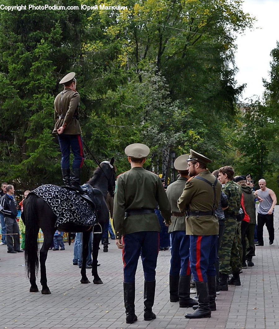 Human, People, Person, Officer, Police, Animal, Elephant