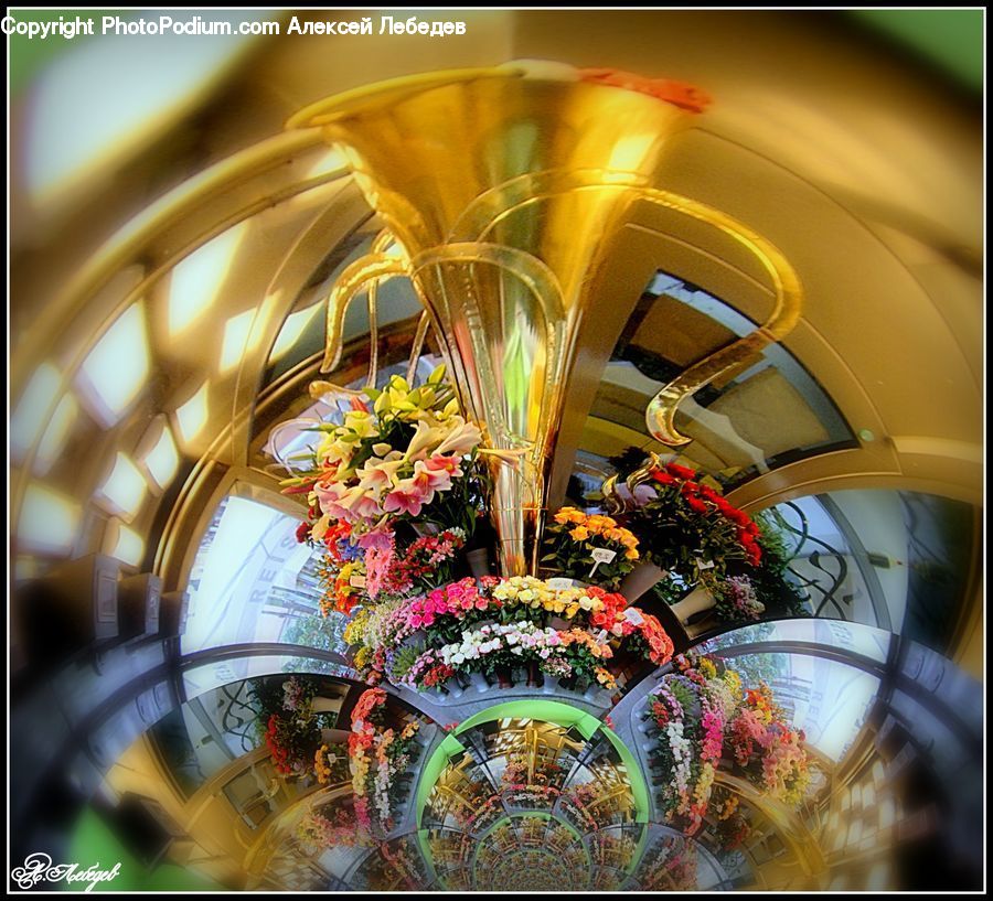 Plant, Potted Plant, Buffet, Cafeteria, Food, Meal, Flower