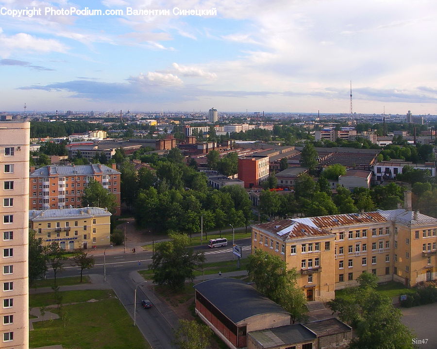 Aerial View, Plant, Potted Plant, City, Downtown, Metropolis, Urban