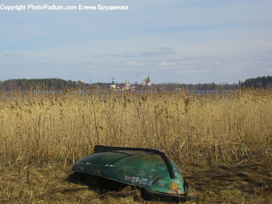 Field, Grass, Grassland, Land, Outdoors, Plant, Automobile