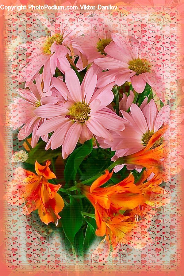 Flower, Flower Arrangement, Flower Bouquet, Paper, Blossom, Flora, Plant