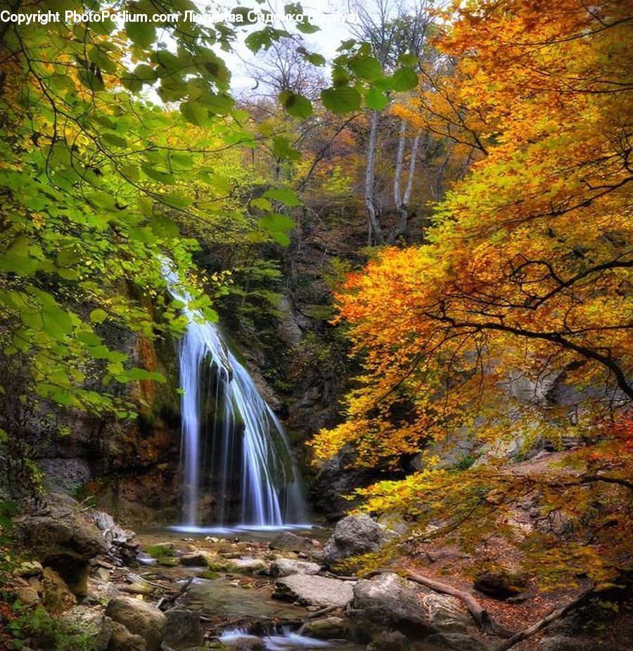 Rock, Creek, Outdoors, Stream, Water, River, Waterfall