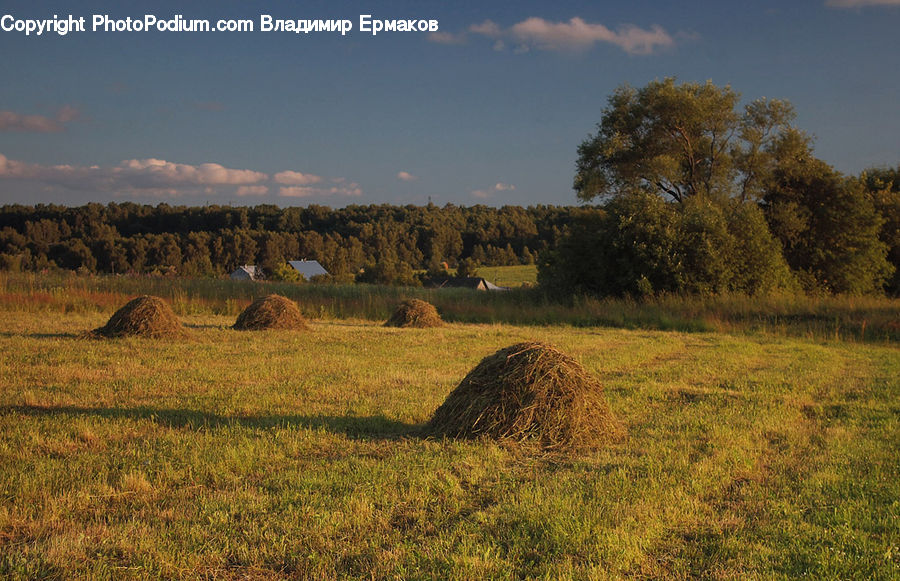 Countryside, Hay, Straw, Field, Grass, Grassland, Land