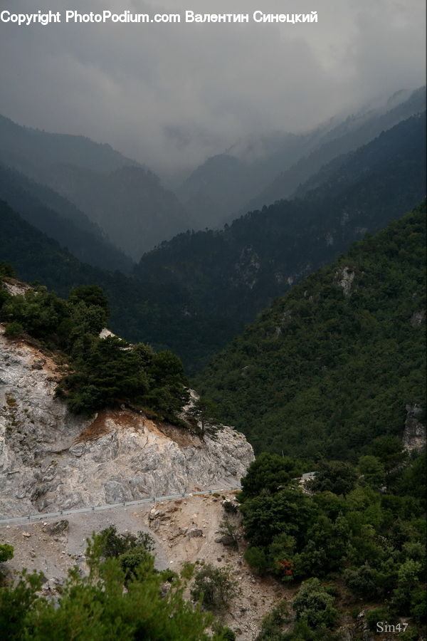 Ground, Soil, Plant, Vegetation, Cliff, Outdoors, Algae