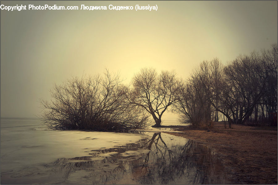 Flood, Dirt Road, Gravel, Road, Landscape, Nature, Scenery