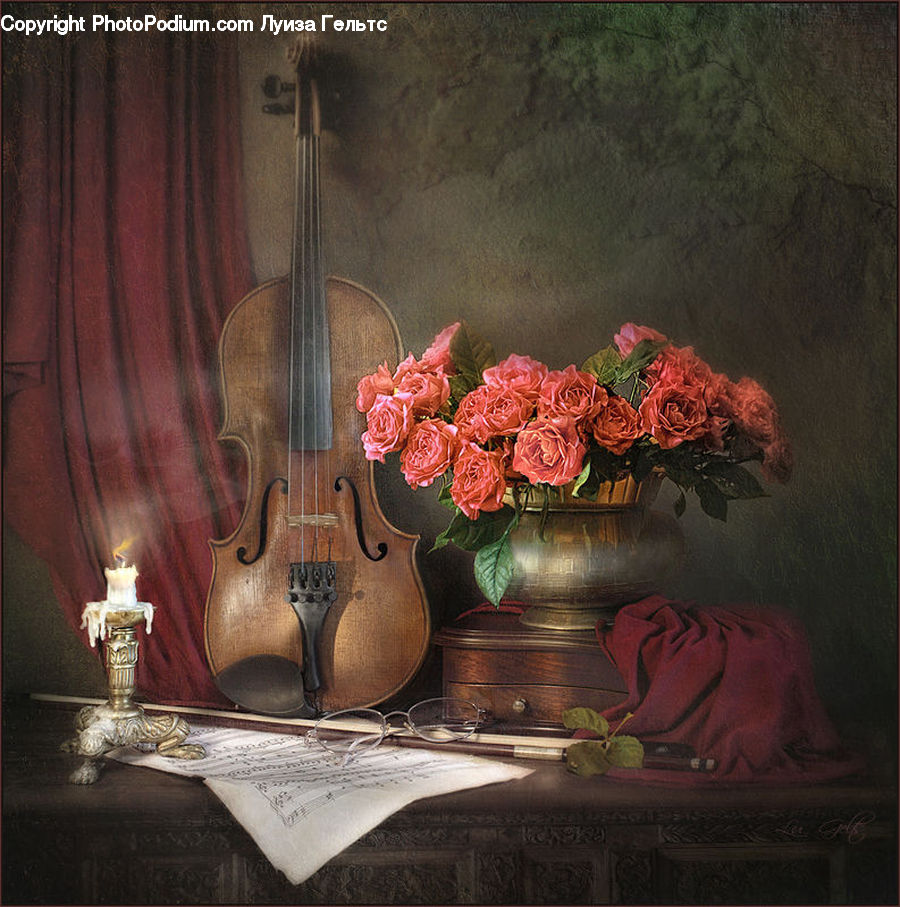 Cello, Fiddle, Musical Instrument, Violin, Floral Design, Flower, Flower Arrangement