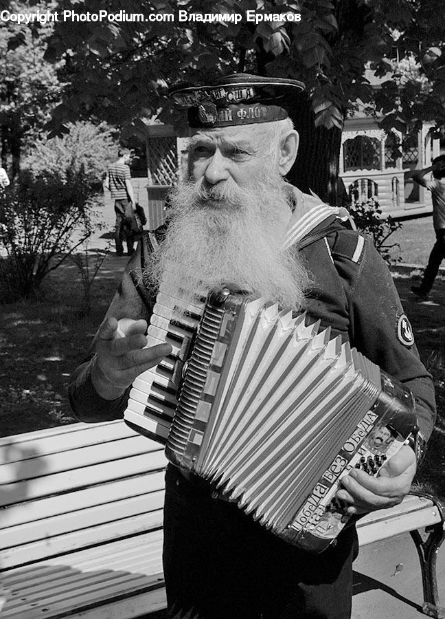 Accordion, Musical Instrument, People, Person, Human, Bench