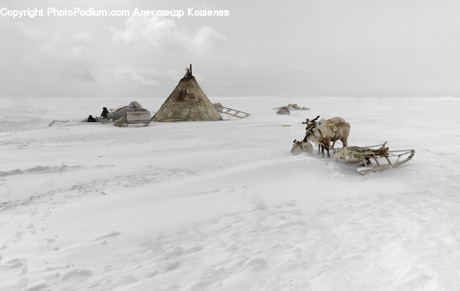 Ancient Egypt, Architecture, Pyramid, Triangle, Arctic, Snow, Winter