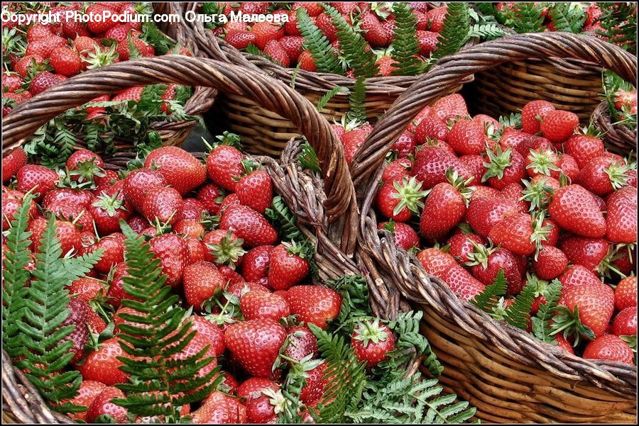 Fruit, Strawberry, Market, Produce, Bazaar, Raspberry, Conifer
