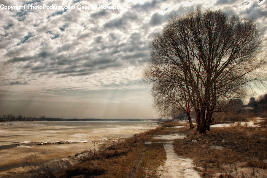 Dirt Road, Gravel, Road, Plant, Tree, Landscape, Nature