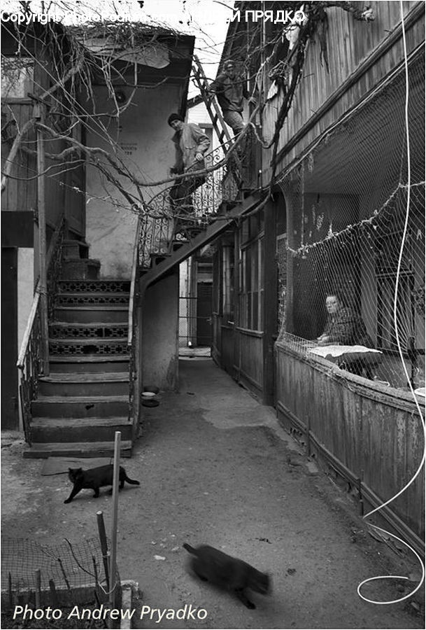 Alley, Alleyway, Road, Street, Town, Bench, Apartment Building