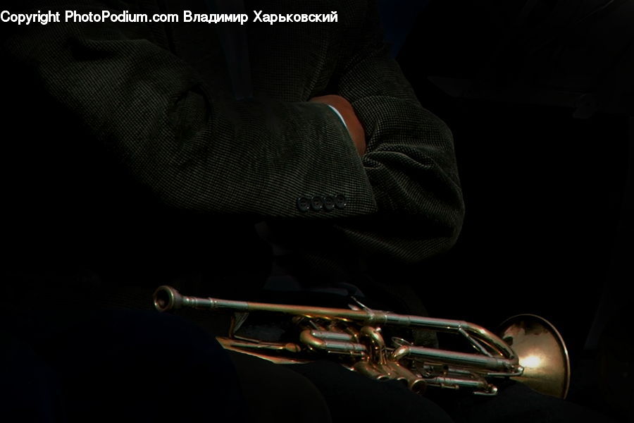 Brass Section, Horn, Musical Instrument, Trumpet, Flugelhorn