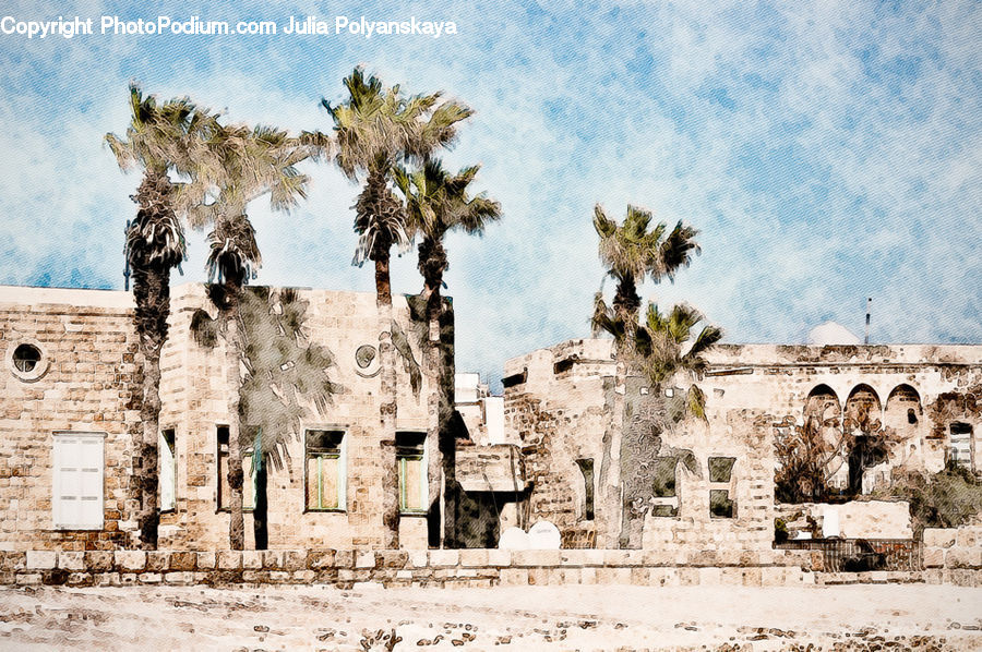 Ruins, Architecture, Housing, Monastery, Palm Tree, Plant, Tree