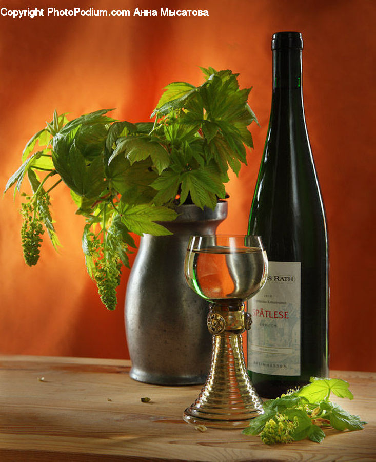 Glass, Goblet, Bottle, Herbal, Herbs, Plant, Potted Plant