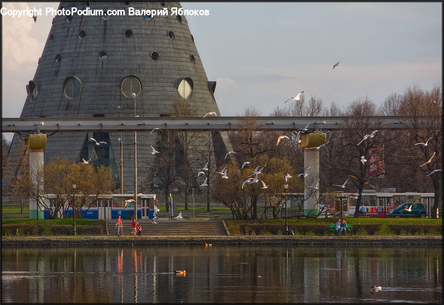 Architecture, Bell Tower, Clock Tower, Tower, Outdoors, Pond, Water